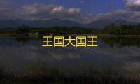 王国大国王